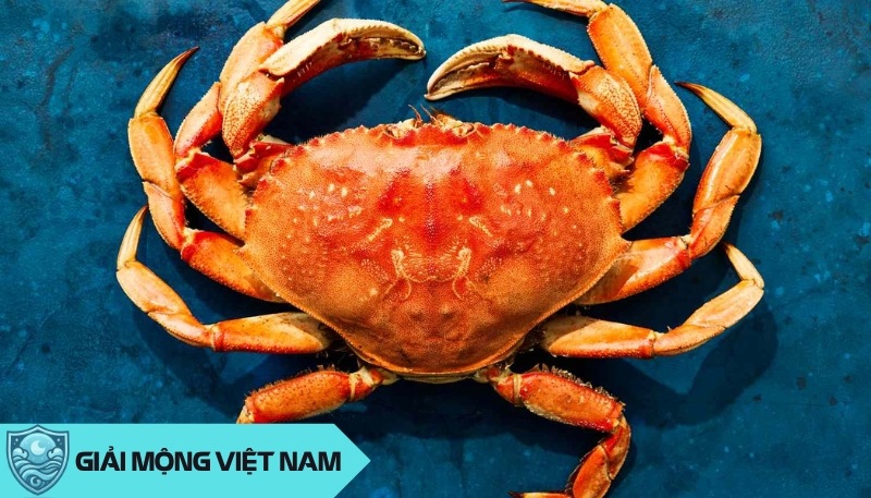 Nằm mơ thấy cua: Điềm báo về sự thích nghi linh hoạt hay cứng nhắc bảo thủ Nằm mơ thấy cua: Điềm báo về sự thích nghi linh hoạt hay cứng nhắc bảo thủ