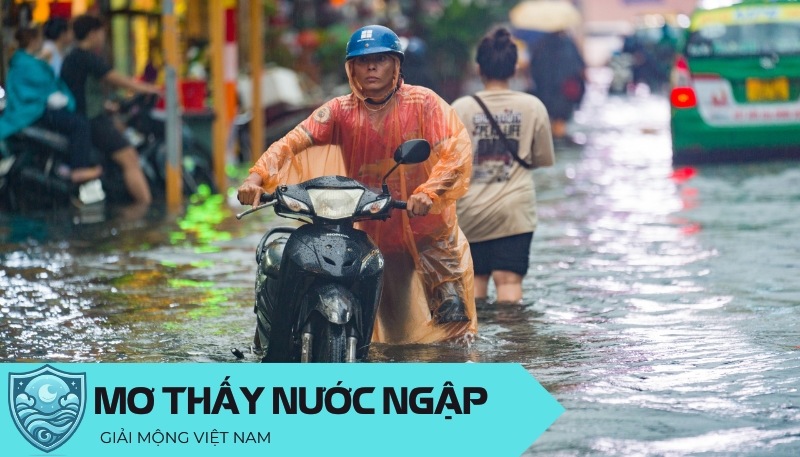 Nằm mơ thấy nước ngập mênh mông là điềm gì, đánh con gì? Điềm báo về làn sóng thay đổi
