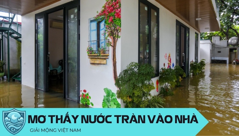 Nằm mơ thấy nước tràn vào nhà: Điềm báo thăng trầm hay ổn định, đánh con gì?